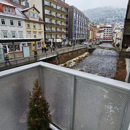 Wildbed De Apartment Bad Wildbad
