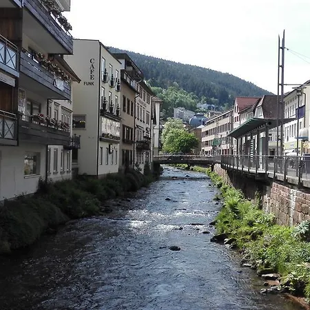 Apartment Wildbed De Bad Wildbad